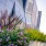 Flowers outside of a building