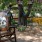 a group of chairs outside
